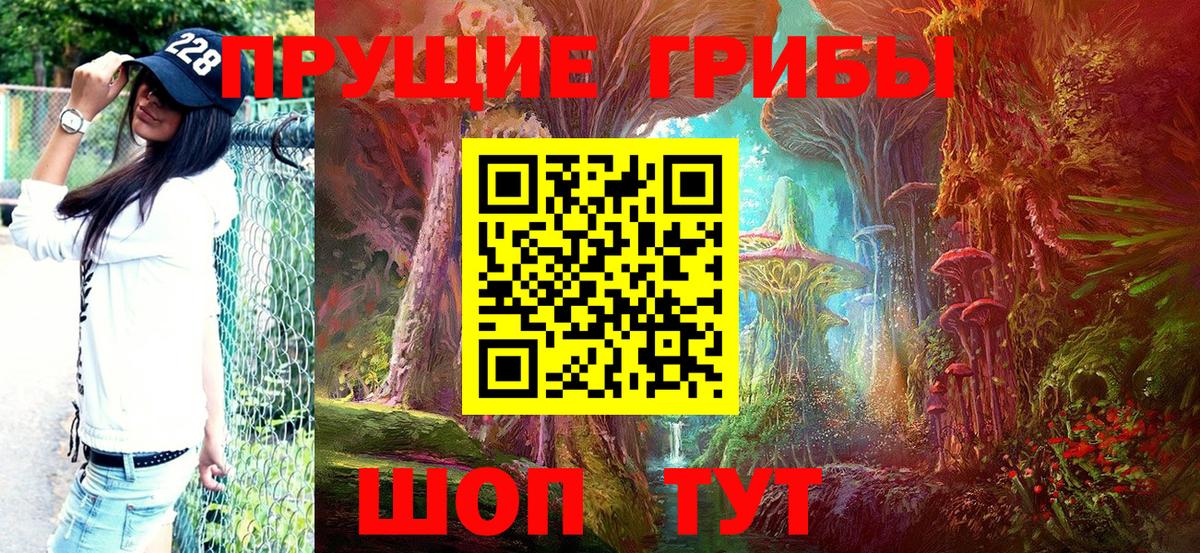 Псилоцибиновые грибы Psilocybe  Галлюциногенные грибы мицелий  Первоуральск  продажа наркотиков  Вход с VPN 