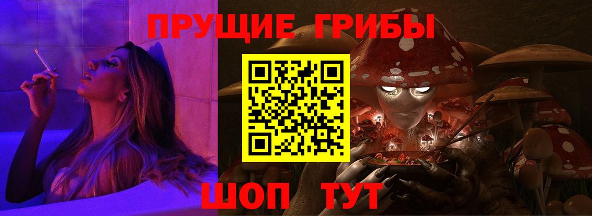 Галлюциногенные грибы Psilocybe Первоуральск
